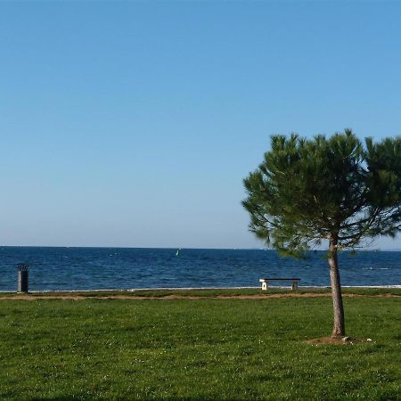 Lovely Fazana Apartments 400M From The Sea Exteriör bild
